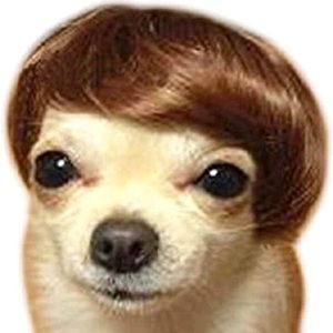 Meet your Posher, Jacob